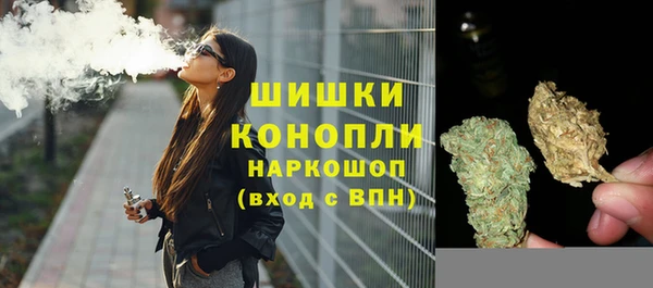 индика Балабаново