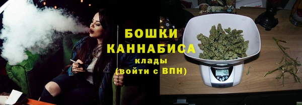 индика Балабаново