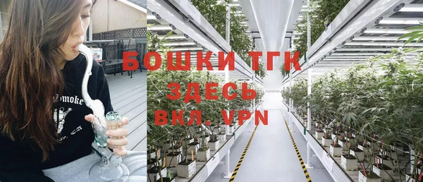 индика Балабаново
