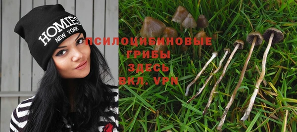 индика Балабаново