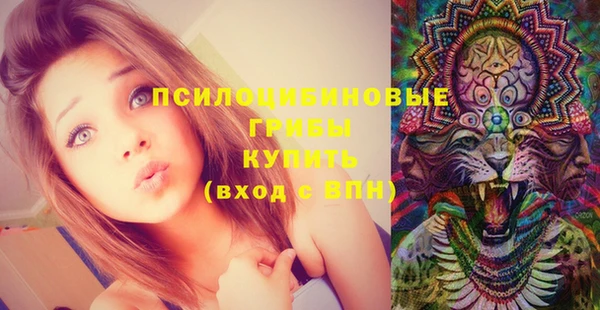 индика Балабаново
