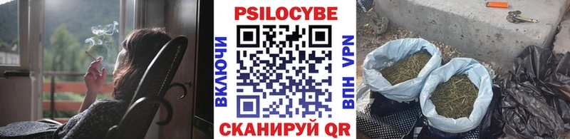 Галлюциногенные грибы прущие грибы  Кондрово 